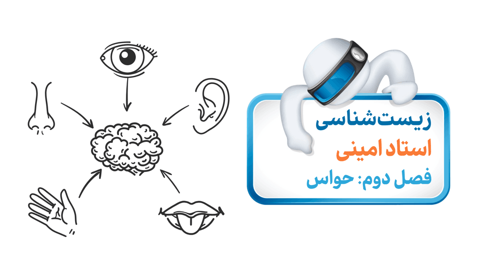 زیست یازدهم، فصل دوم، گفتار اول: گیرنده‌های حسی و انواع آن