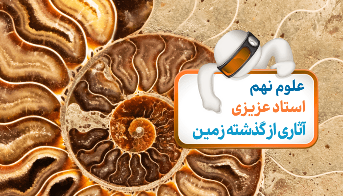 فصل هفتم: کاربرد فسیل‌ها