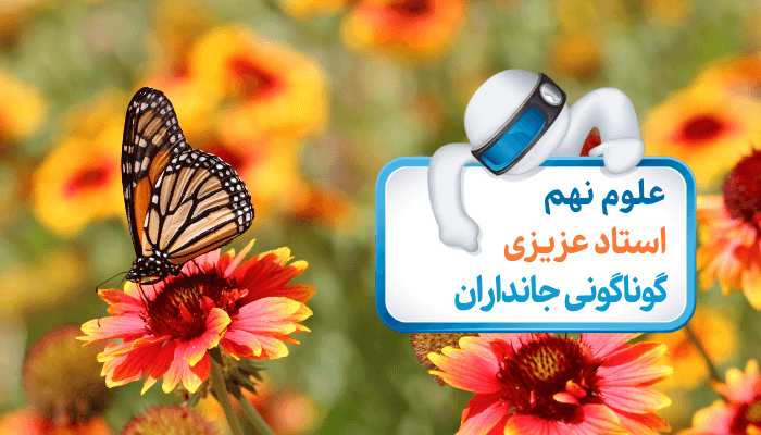 فصل یازدهم: گروه‌بندی و گوناگونی جانداران