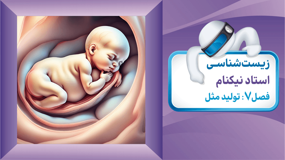 گفتار 2: دستگاه تولید مثل در زن (چرخه تخمدانی) صفحه 104 تا 105